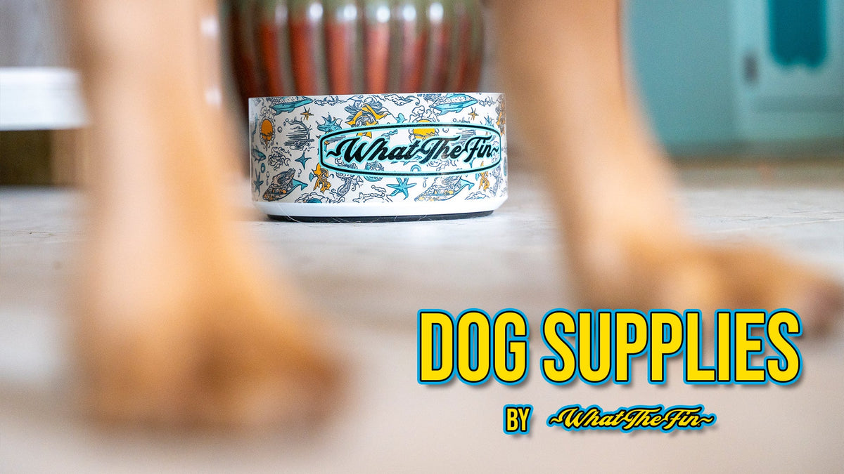 Dog Supplies