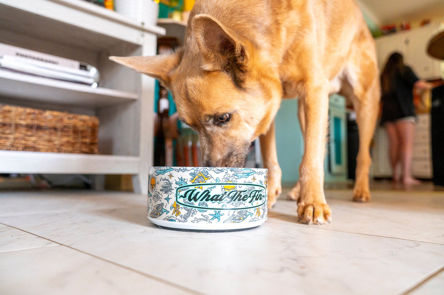 ACCESSORIES: Dog Supplies