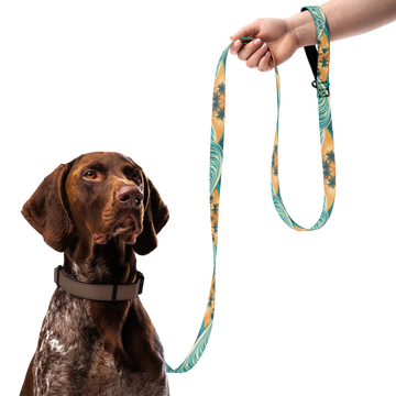 WTF Oasis Pet Leash