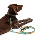 WTF Oasis Pet Leash