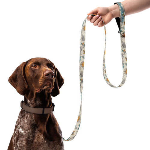 WTF Dirty Sun Dog Leash